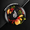 Табак Black Burn - PeachBerry (Земляника и Персик) 25 гр Табак Black Burn - PeachBerry (Земляника и Персик) 25 гр